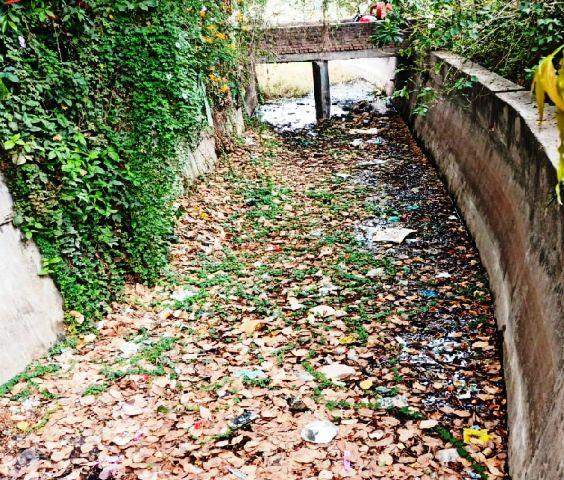 udaipur madar nahar sewage pollution