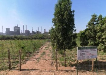 Hindustan Zinc Plantation Drive