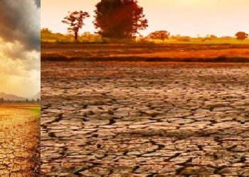 India monsoon situation has improved despite El Niño concerns with low rainfall districts falling from 262 to 178