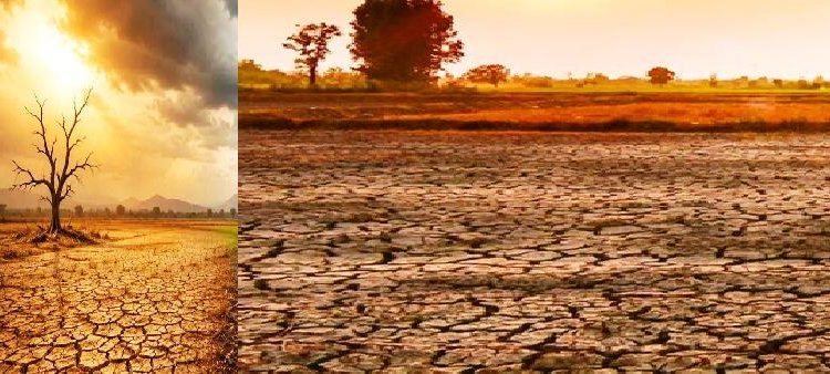 India monsoon situation has improved despite El Niño concerns with low rainfall districts falling from 262 to 178