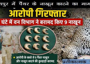 Udaipur Panther Claws nail Smuggling