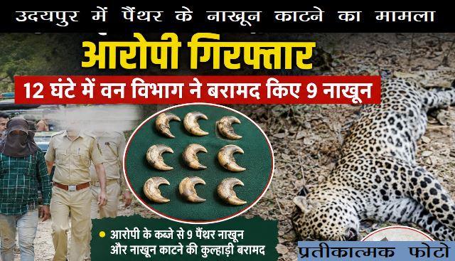 Udaipur Panther Claws nail Smuggling