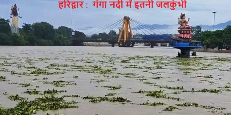 ganga-river-water-hyacinth-pollution-threat