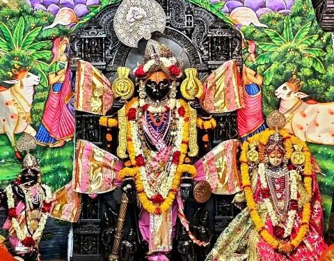 udaipur Jagannath Rath Yatra 2026