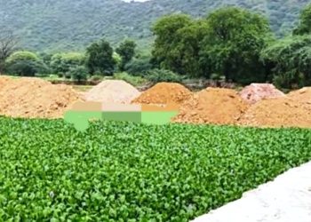 Udaipur Udai Sagar Lake illegal filling