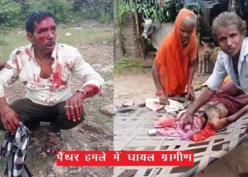 udaipur-umarda-panther-attack-4-villagers-injured