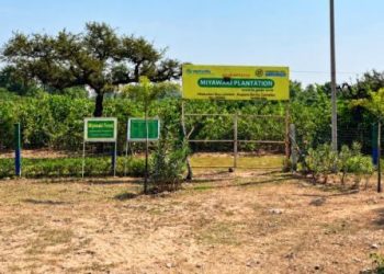 Miyawaki Plantation - land restoration initiative