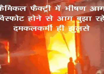 jodhpur-chemical-factory-fire-13-firefighters-injured