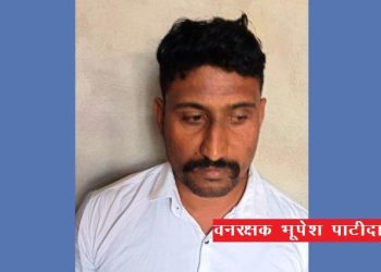 banswara forest guard arrested taking 5000 bribe
