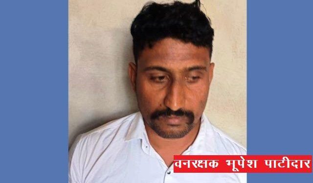 banswara forest guard arrested taking 5000 bribe